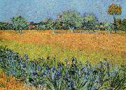Vincent Van Gogh View of Arles With Iris oil painting reproduction